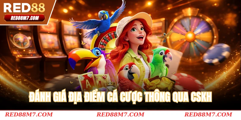 Đánh giá địa điểm cá cược thông qua đội ngũ nhân viên hỗ trợ