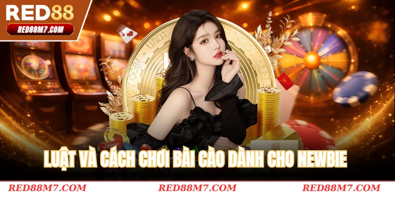 Luật và cách chơi bài cào dành cho newbie