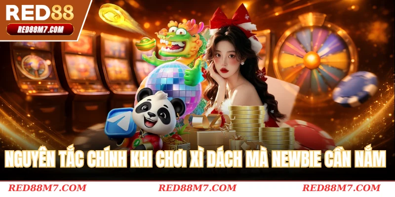 Nguyên tắc chính khi chơi xì dách mà newbie cần nắm